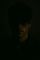 inceptio