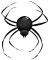 Spider_d - Mester Budapest